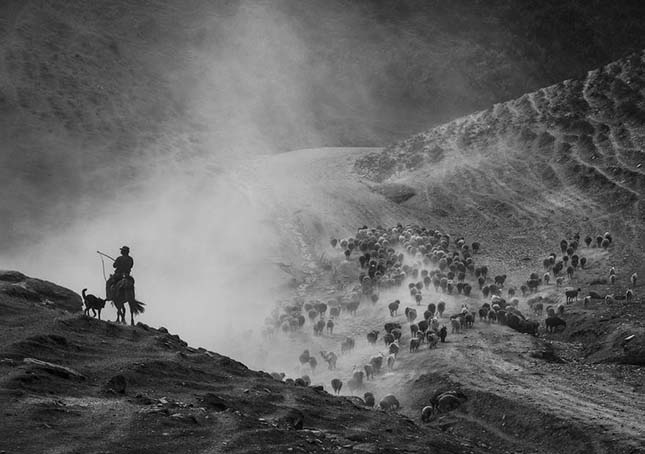 Siena International Photo Awards