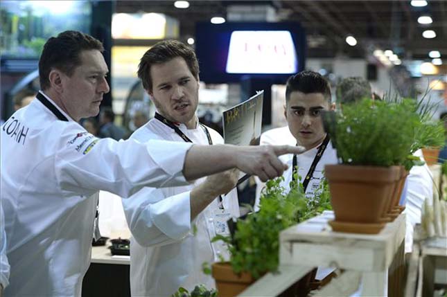 Bocuse d'Or