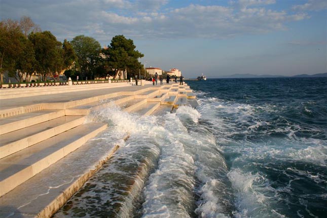 Tengeri orgona, Zadar