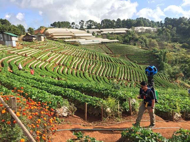 Thaiföld Google Street View