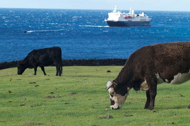 Tristan da Cunha