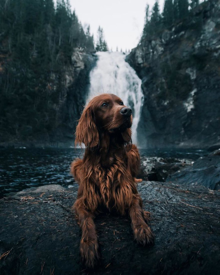 Kutyájával fedezi fel Norvégia vadregényes tájait