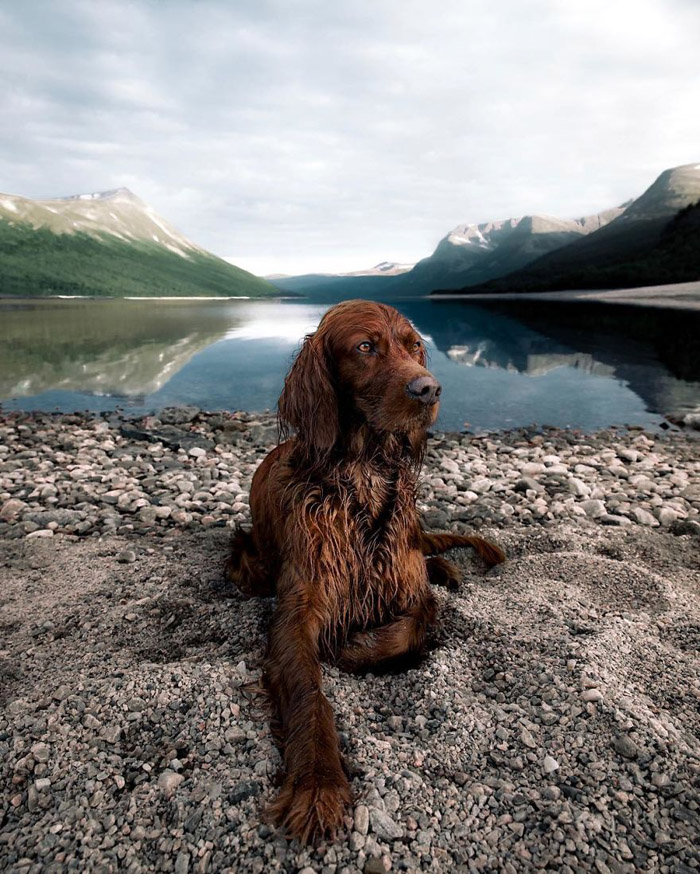 Kutyájával fedezi fel Norvégia vadregényes tájait