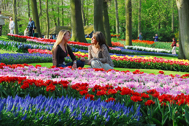 keukenhof-2