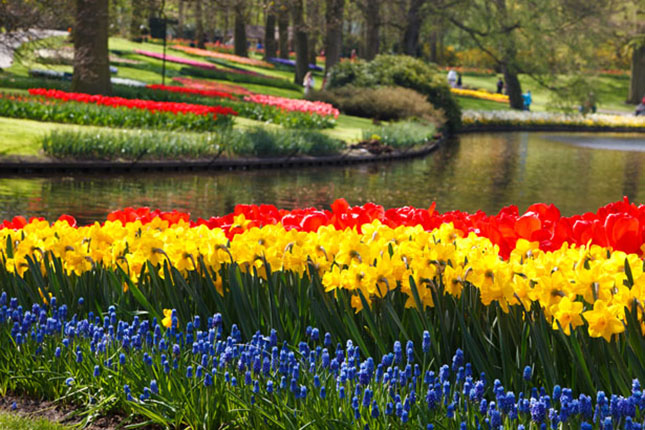 keukenhof flower gardens