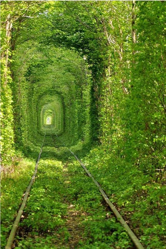 Tunnel of Love, élő alagút, Klevan, Ukrajna