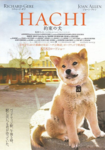 hachiko_5