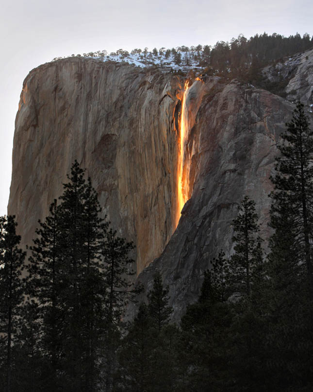 Horsetail-Firefall