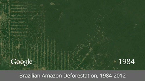 Brazilian-Amazon-Deforestation