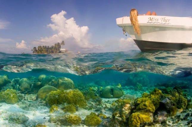 Korallzátonyok - CAYE, Belize