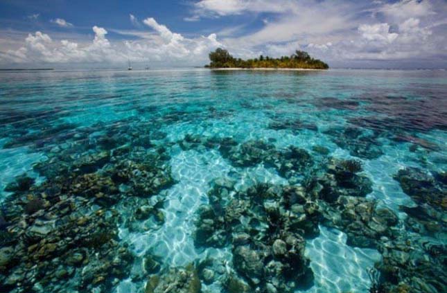 Korallzátonyok - CAYE, Belize