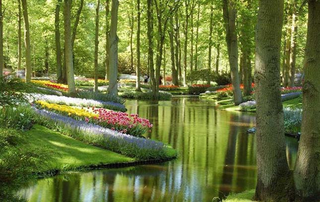 Keukenhof kert, Hollandia