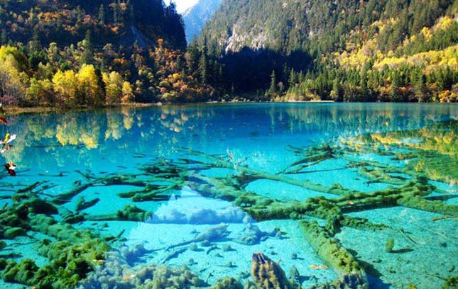 Türkizkék Kristály-tó - Jiuzhaigou Nemzeti Park, Kína