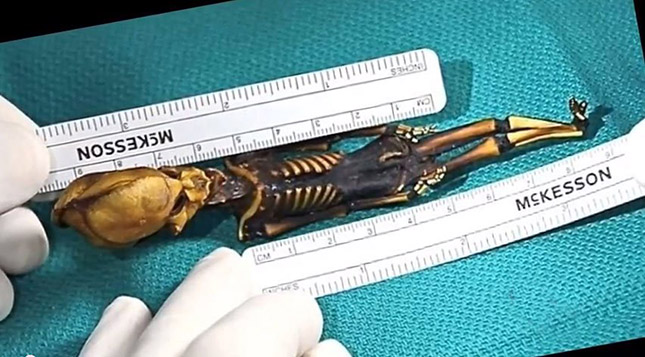 15 centis csontvázat találtak Chilében