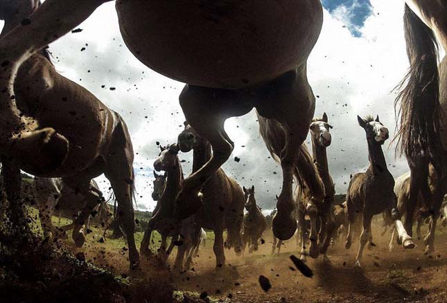 National Geographic fotópályázat  2013 