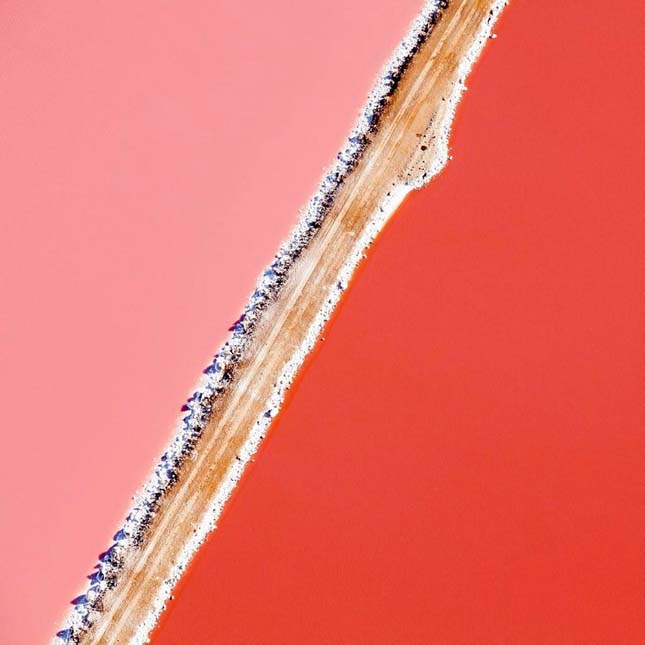 Hutt Lagoon algafarm, Ausztrália