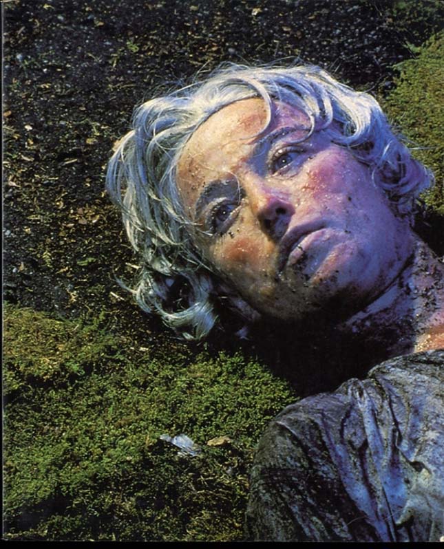 Cindy Sherman - Untitled #153