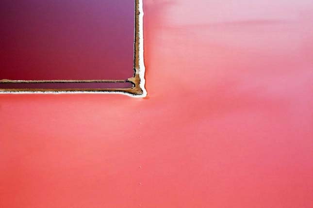 Hutt Lagoon algafarm, Ausztrália