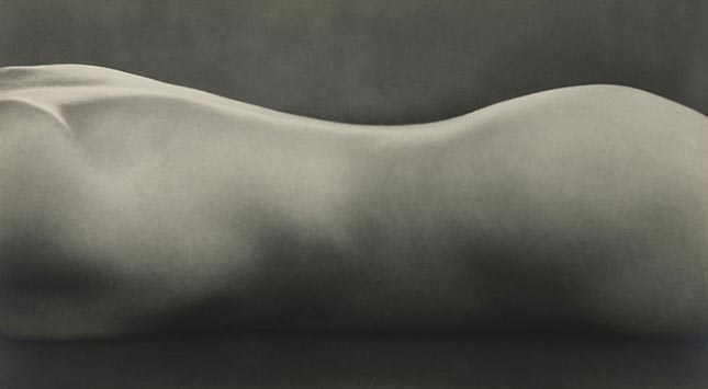 Edward Weston - Nude