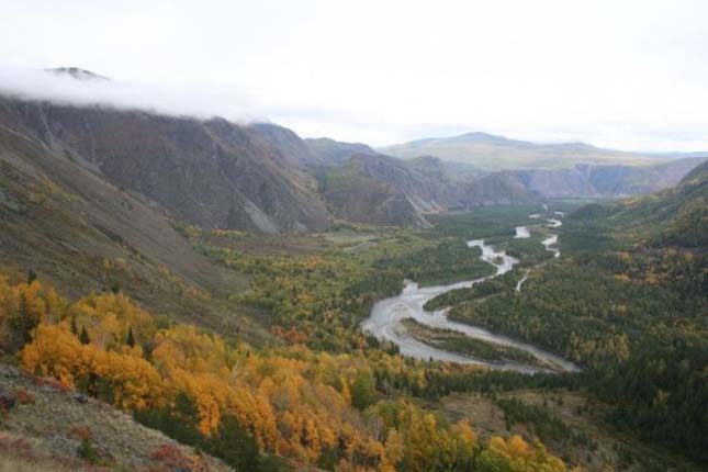Altaj természetvédelmi terület