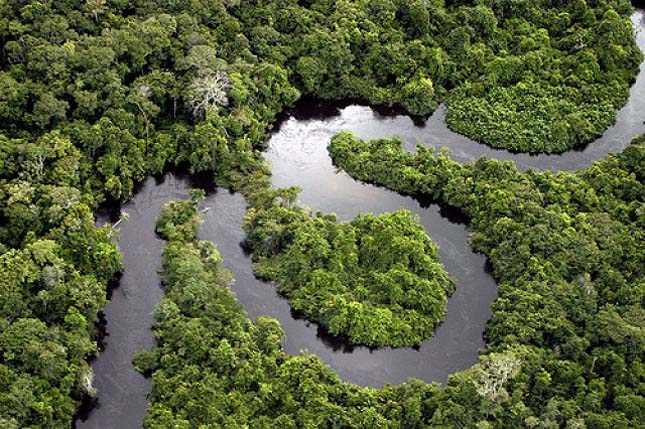 Amazonas