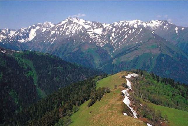 Kaukázus Természetvédelmi Terület