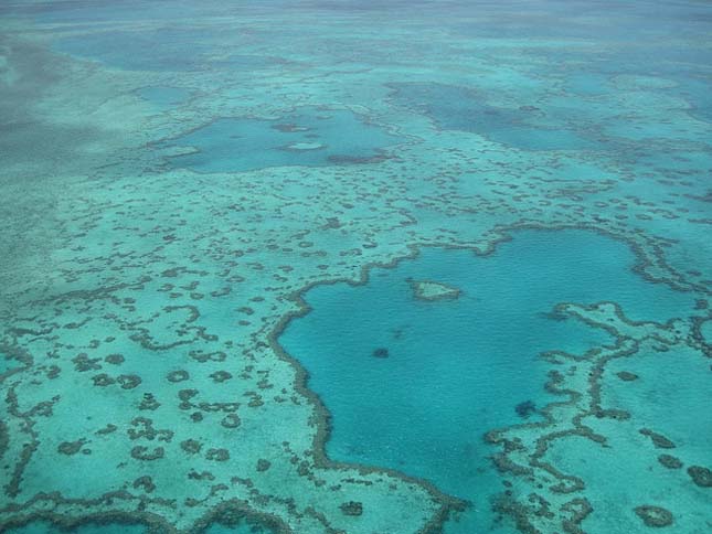 Nagy Korallzátony (Great Barrier Reef)