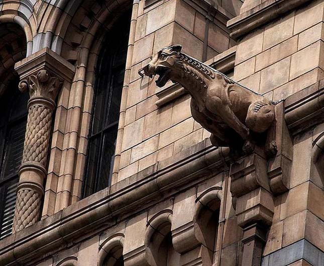 Natural History Museum - London, Anglia