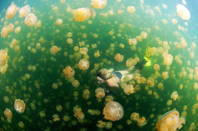 National Geographic utifotós pályázat legjobb fotói