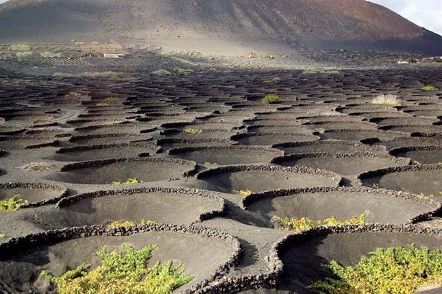 Lanzarote