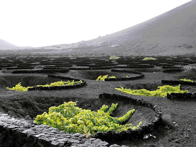 Lanzarote