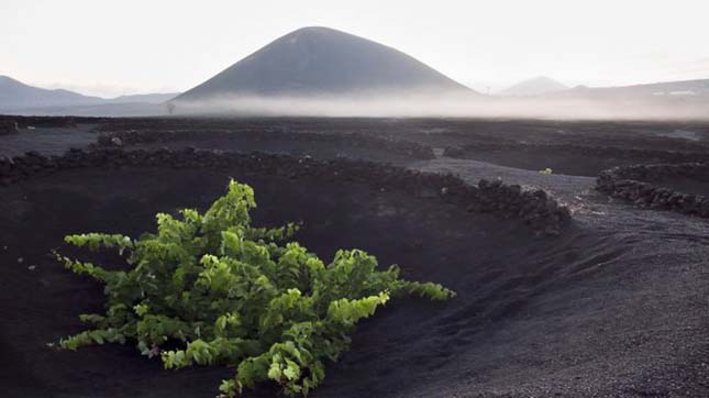 Lanzarote