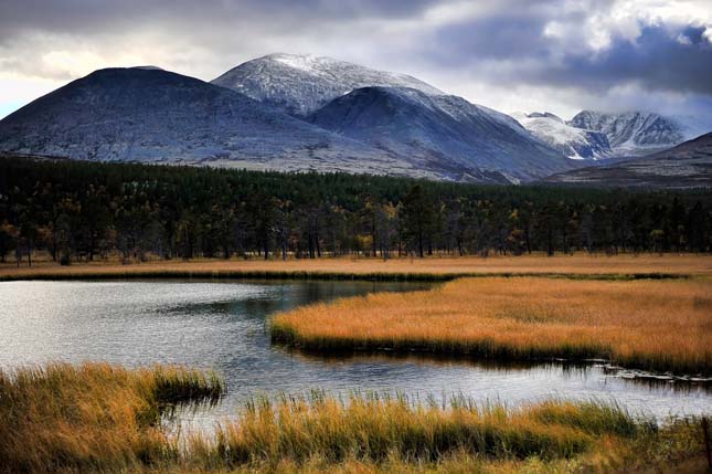 Rondane Nemzeti Park