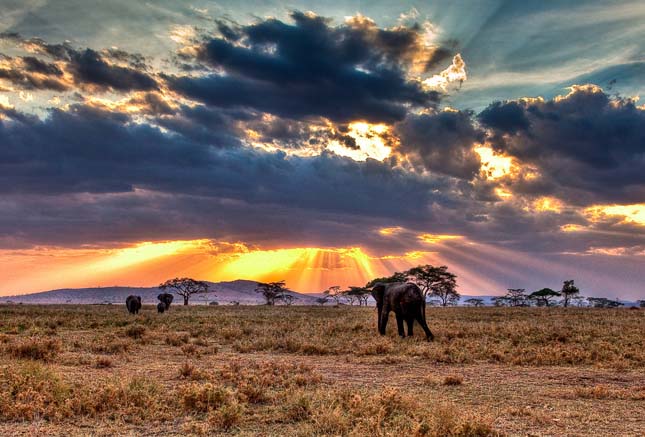 Serengeti Nemzeti Park