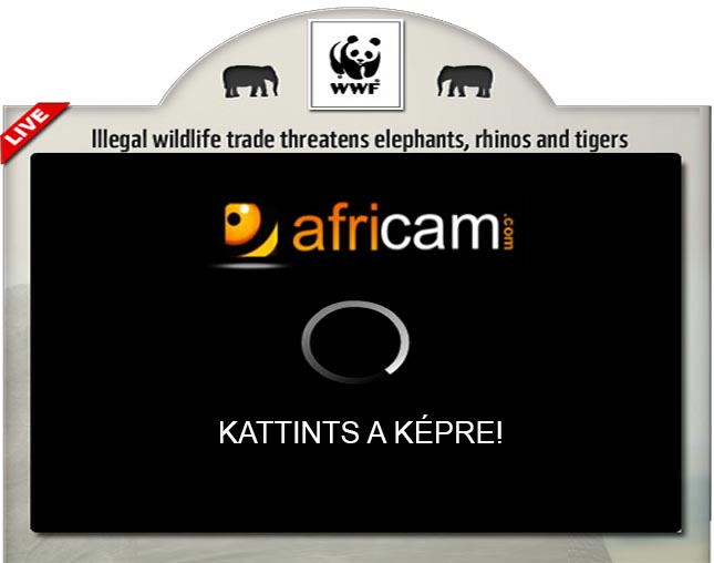 africam