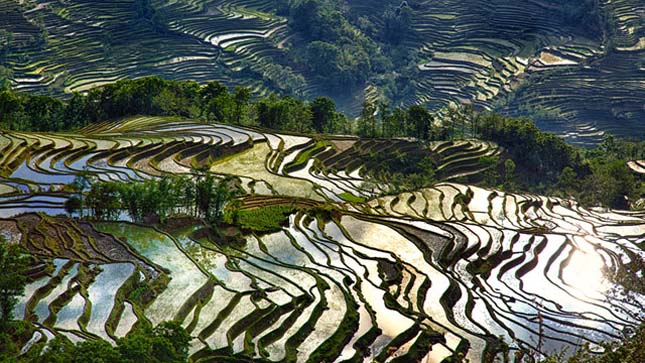 Yunnani teraszok, Kína