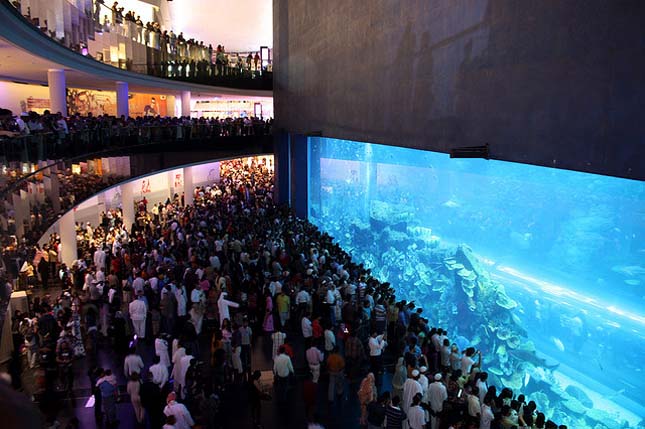 Dubai Mall Akvárium