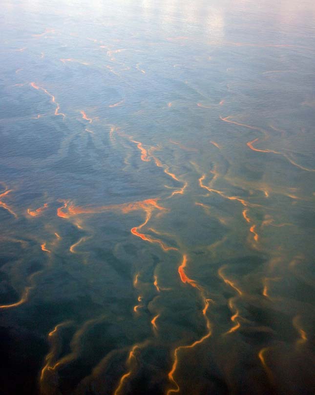 Mexikói-öbölbeli olajkatasztrófa