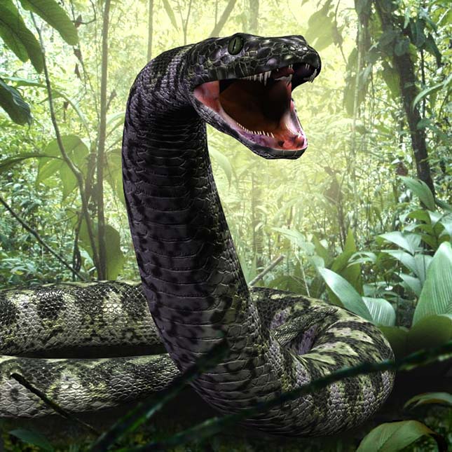 Sokkoló látvány Pest megyében: 34 kígyóra bukkantak egy fészerben - Látvány, mint a kígyók