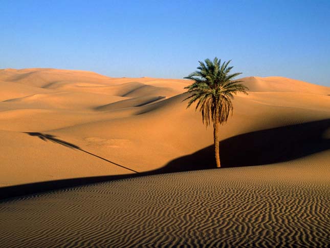 sivatagi fogyás yuma az