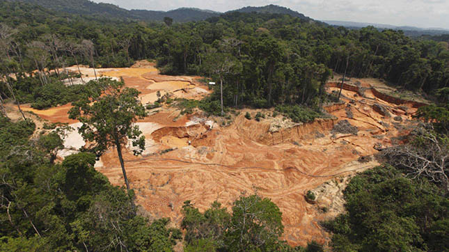 Brazil-rain-forest-deforestation