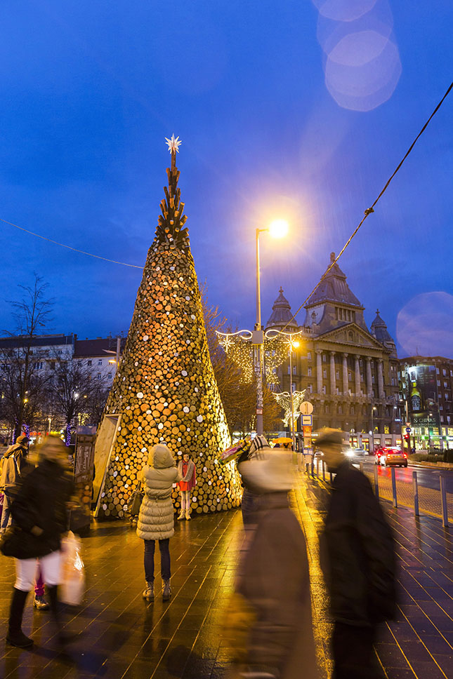 A Hello Wood különleges karácsonyfája Budapesten