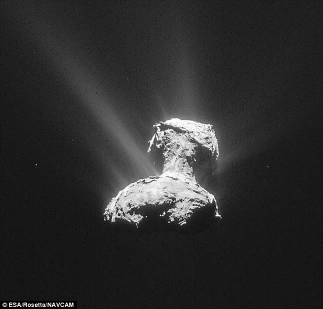 rosetta