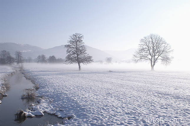 plaine dans les vosges