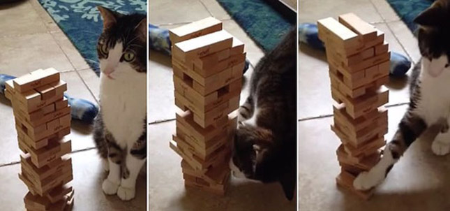 jenga