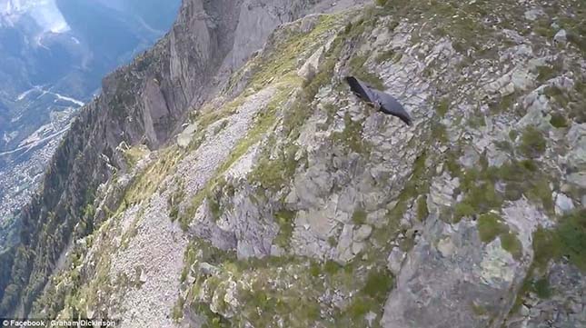 wingsuit-2