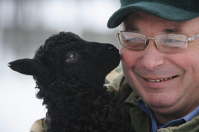 Fekete racka bárány született egy hajdúböszörményi tanyá