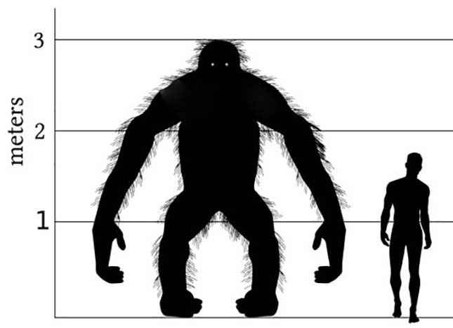 gigantopithecus