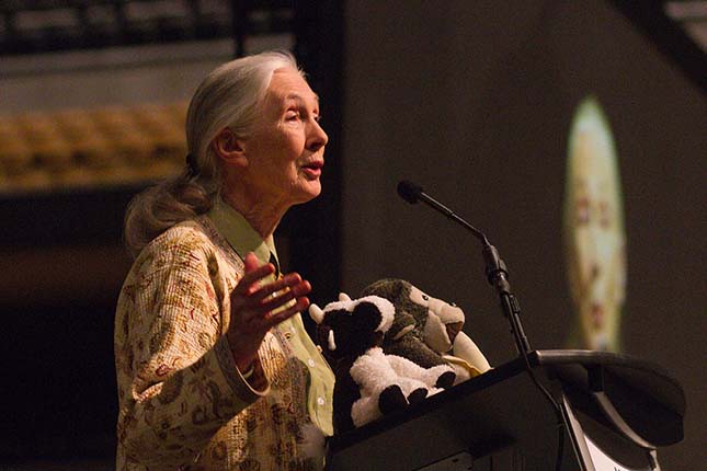 jane-goodall-3