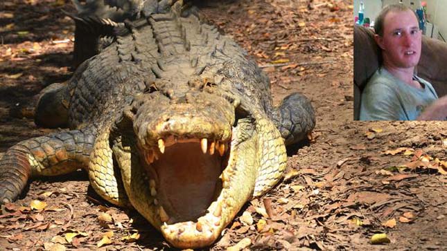 krokodil-tamadas